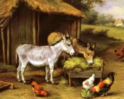 埃德加亨特 - Chickens And Donkeys Feeding Outside A Barn